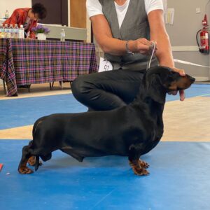 Progression Session 04th Mar 12:00pm to 2:30pm (Eglington Park)